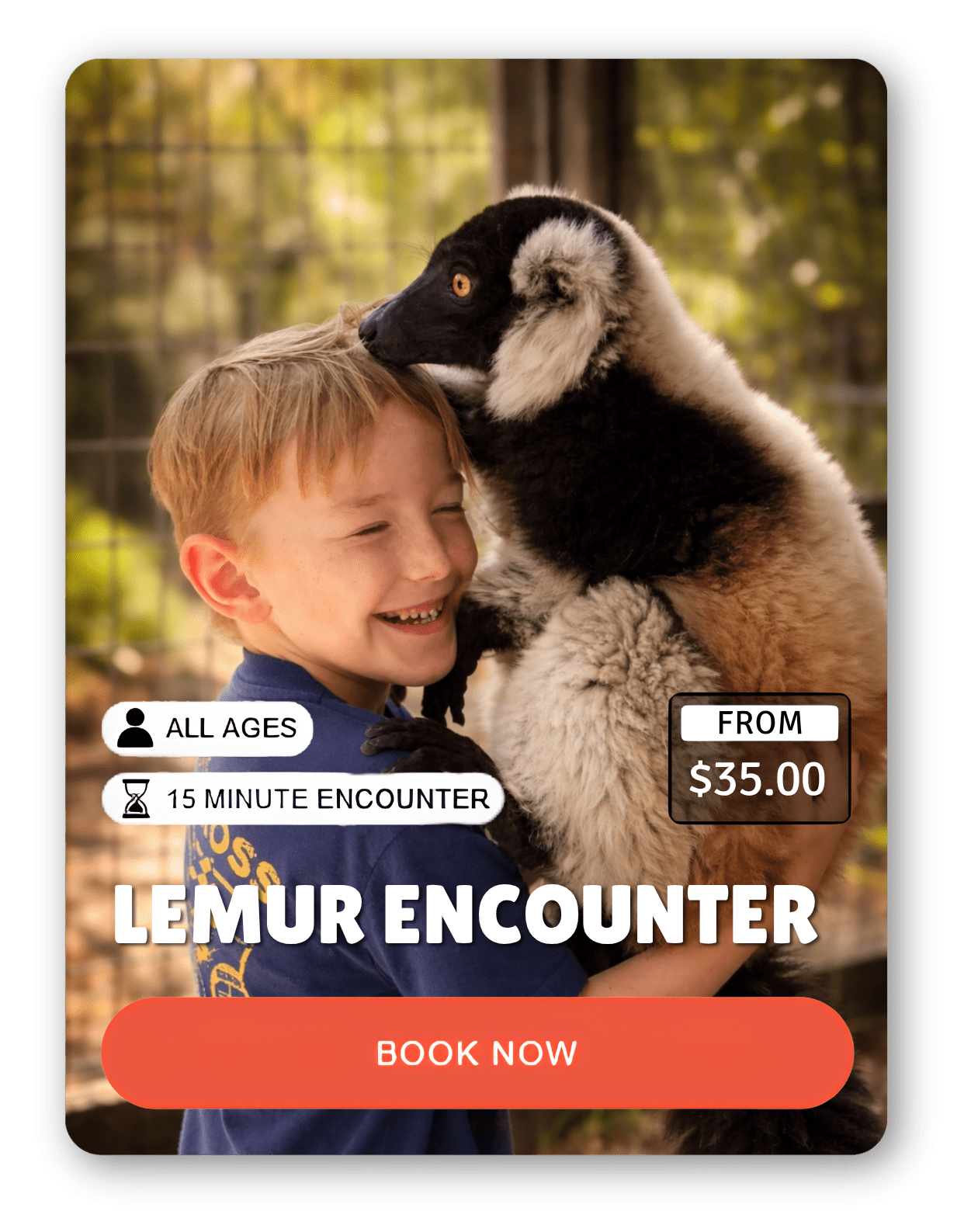 Cards showing Lemur and Sloth encounters with prices and booking buttons.