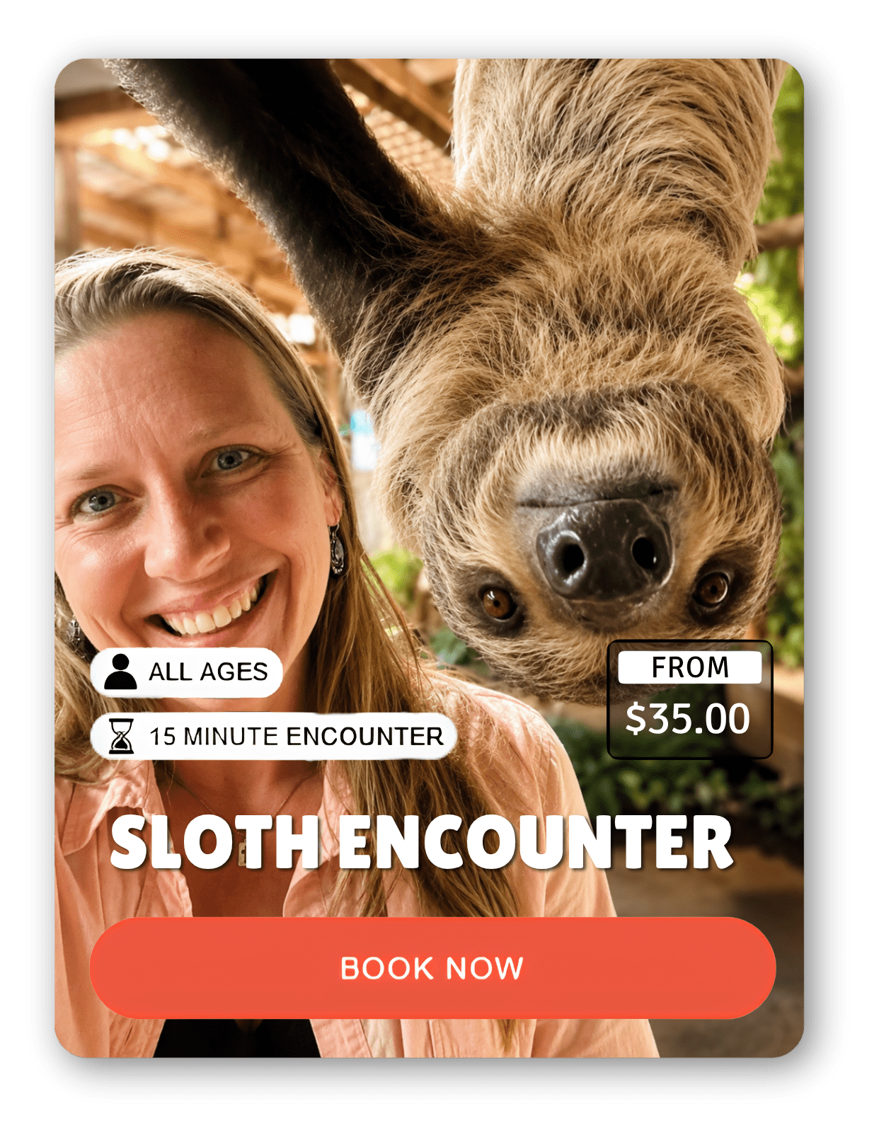 Two animal encounter cards: lemur with boy, sloth with woman.