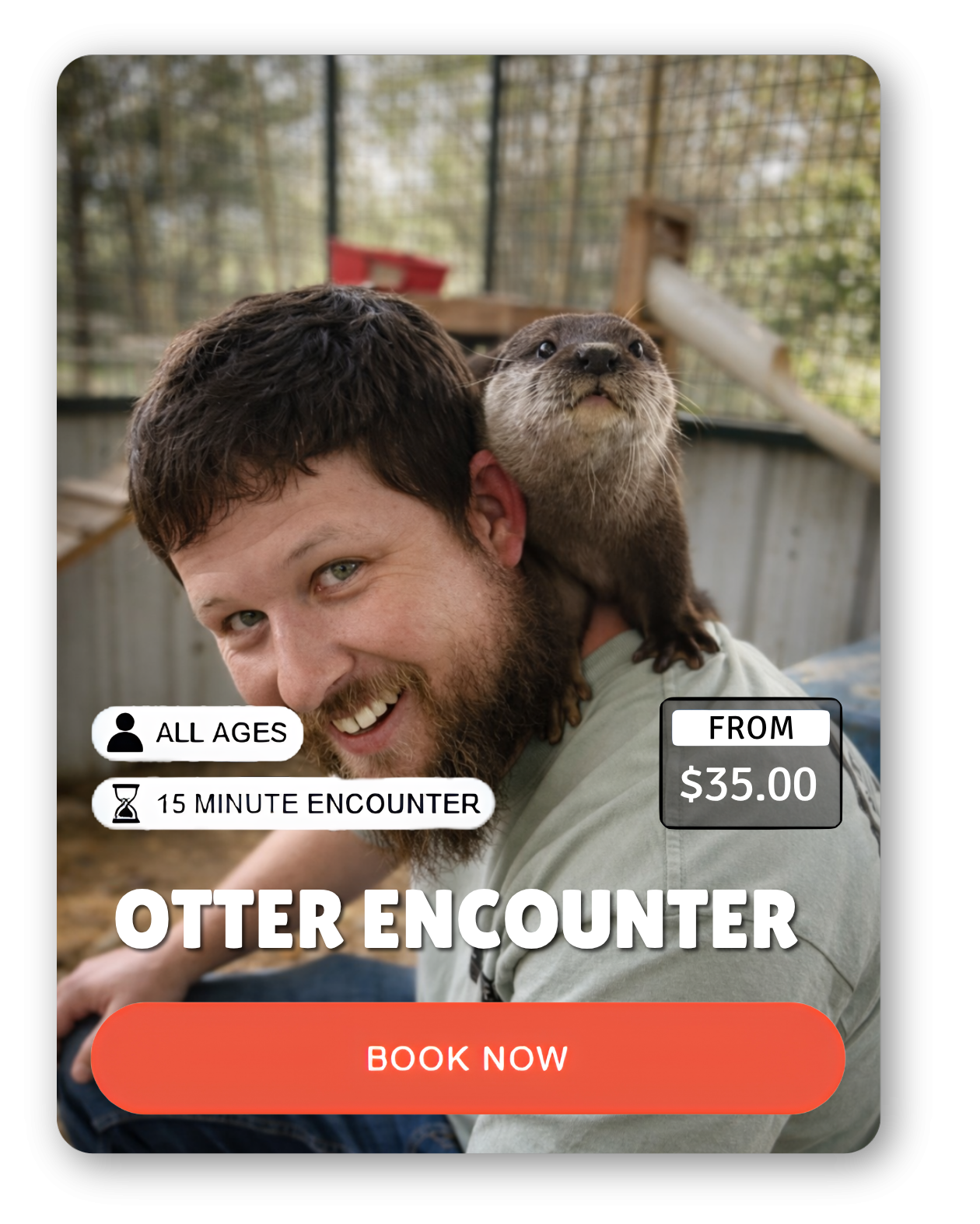 Two animal encounter ads with otter and monkeys.