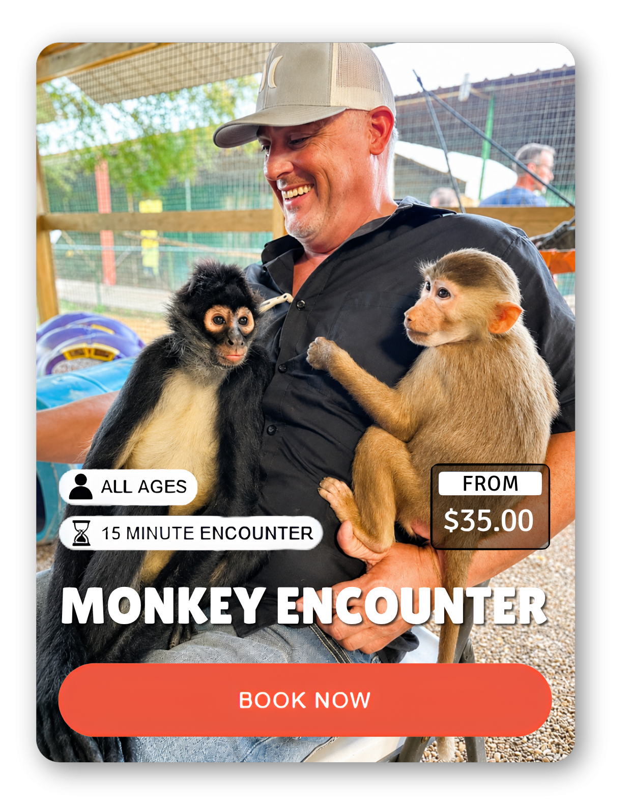 Two animal encounter ads featuring otter and monkey with people.