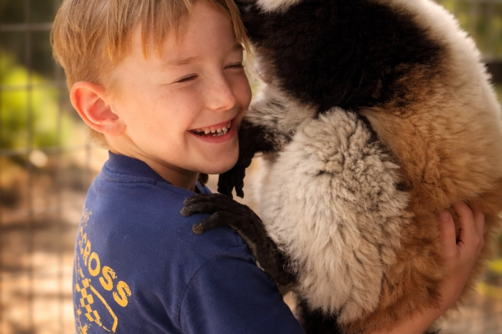Boy smiling while holding a black and white lemur in a sunny outdoor setting.