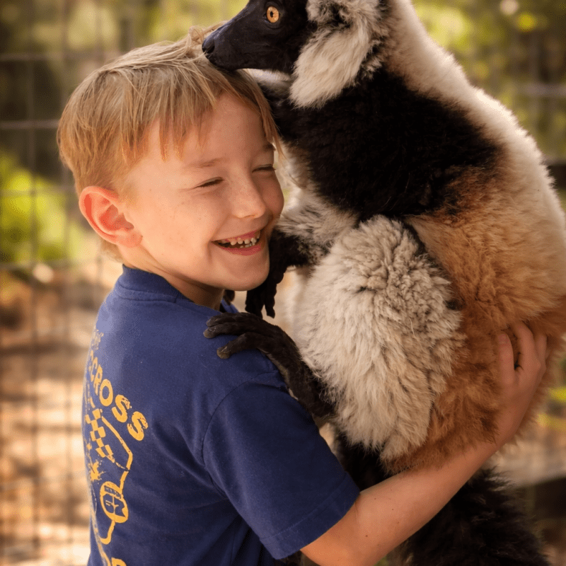 Boy smiling while holding a black and white lemur in a sunny outdoor setting.