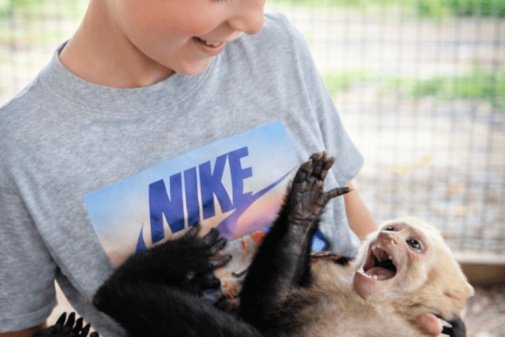 Smiling boy holding a playful small monkey in a cage enclosure.