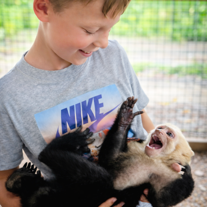 Smiling boy holding a playful small monkey in a cage enclosure.
