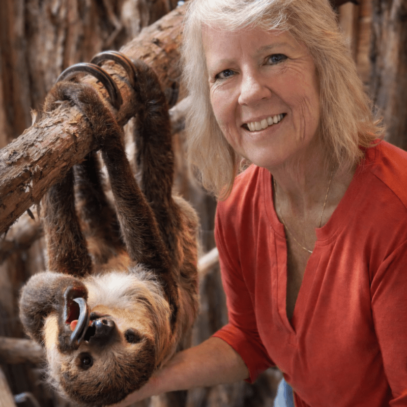 Woman smiling next to a sloth hanging from a branch.