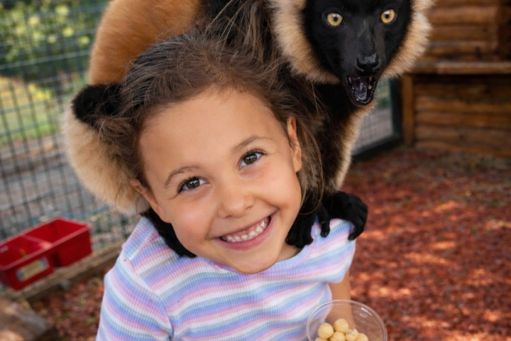 Girl smiling with a lemur on her shoulder, holding a cup of food.