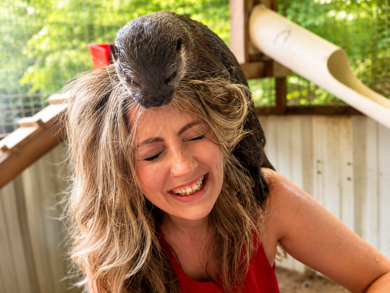 Woman smiling with an otter on her head inside a wooden shelter.