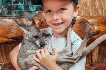 Child smiling, holding a small kangaroo on a wooden bench.