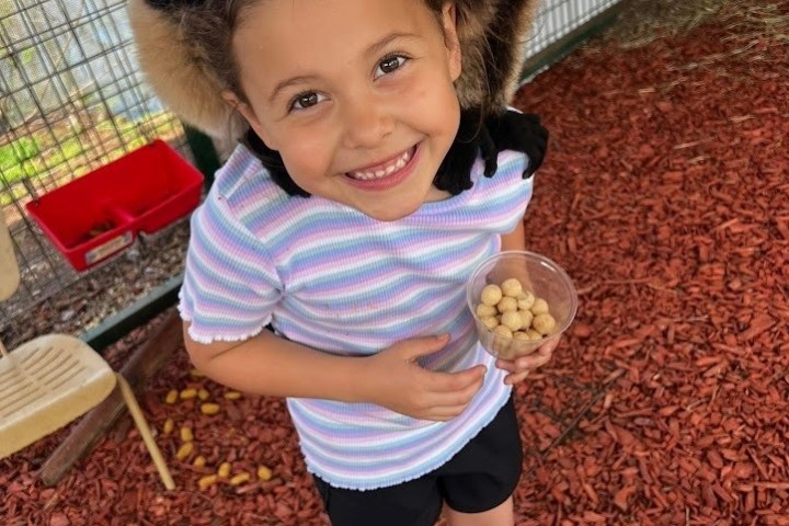 Smiling girl holding food with lemur on shoulder in a fenced area.
